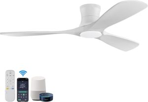 2. Hoenofly Ceiling Fan with Light and Remote